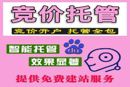 案例分享：百度竞价广告投放案例